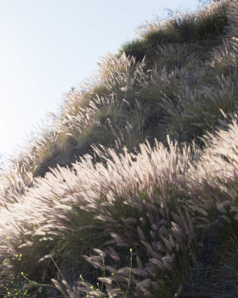 Inspiration Ozone Etienne Gounot Eric Jähnke 