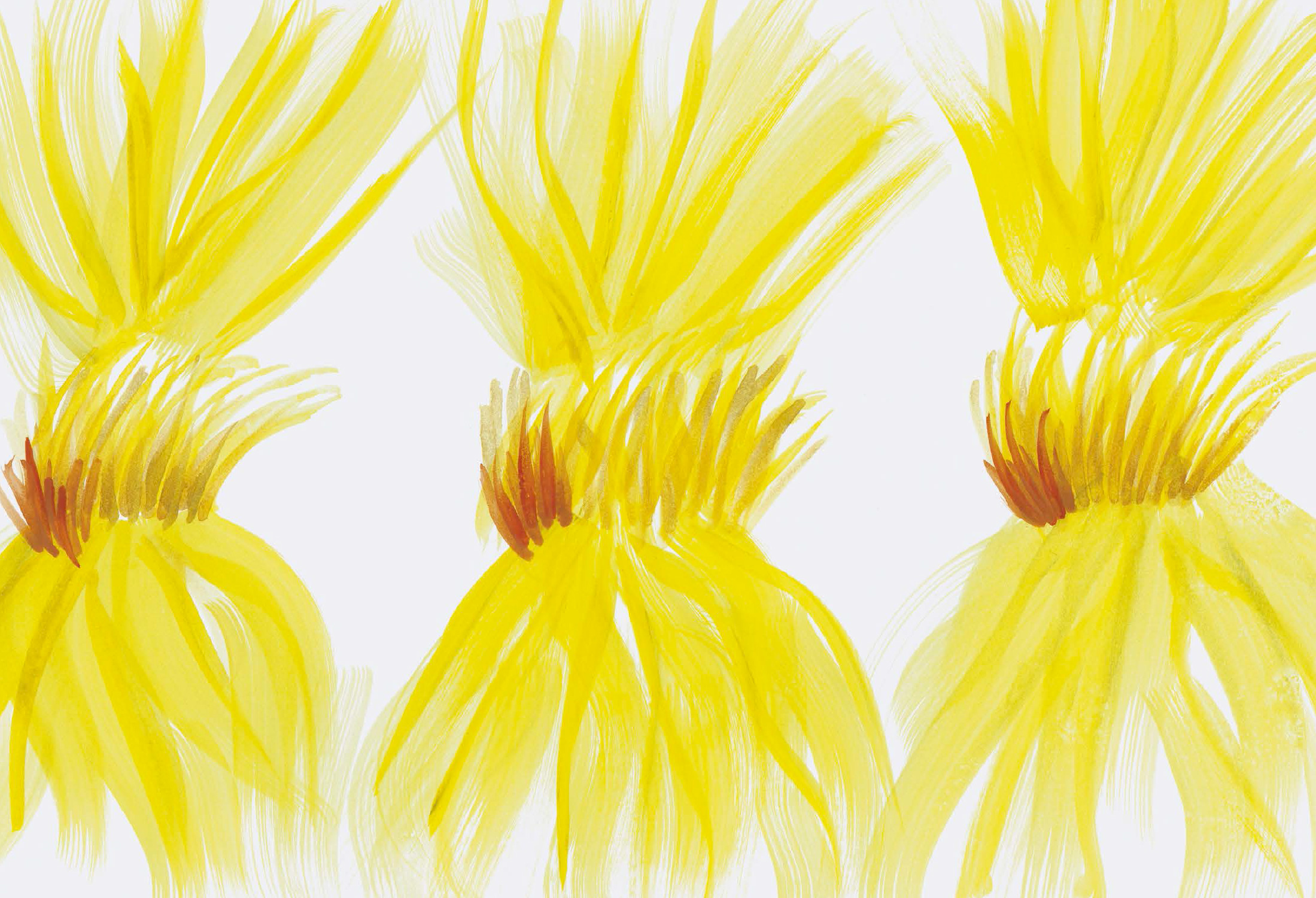 Magazine Ozone Etienne Gounot Eric Jähnke 2020