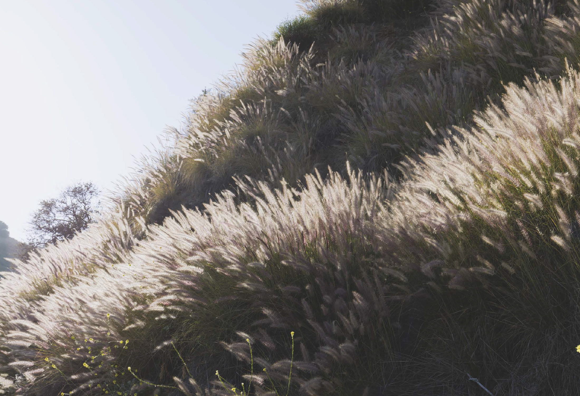 Magazine Ozone Etienne Gounot Eric Jähnke 2020